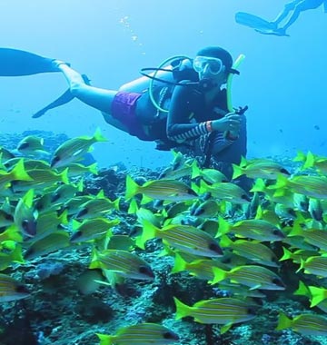 Lakshadweep tourism packages